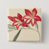Superb Corn-Flag Vierkante Button 5,1 Cm (Voorkant)