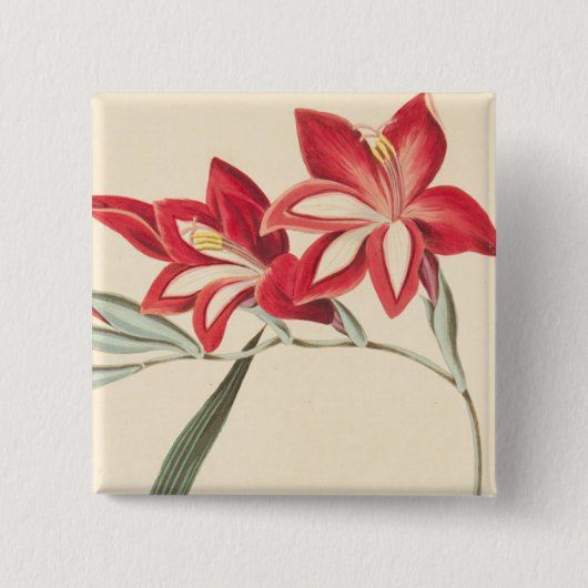 Superb Corn-Flag Vierkante Button 5,1 Cm (Voorkant)
