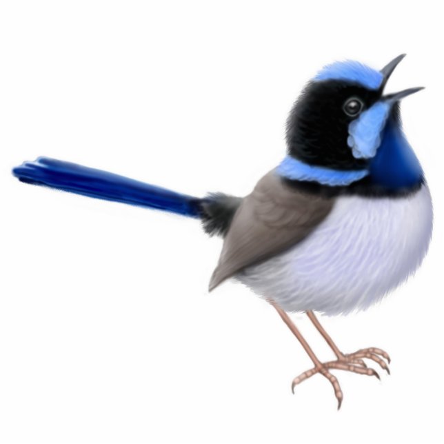 Superb Fairy Wren Ornament Fotobeeldje Ornament (Voorkant)