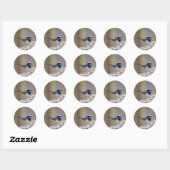 Superb Fairy-wren Ronde Sticker (Vel)