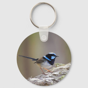Superb Fairy-wren Sleutelhanger