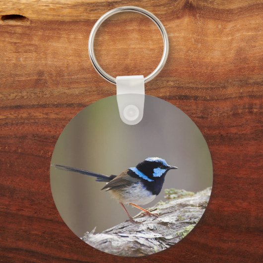Superb Fairy-wren Sleutelhanger (Voorkant)