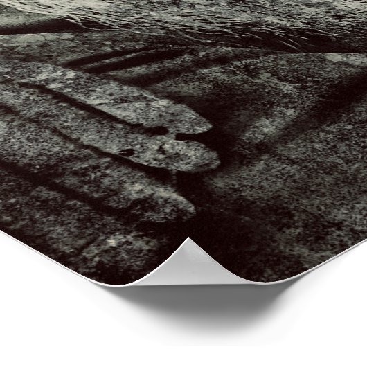 Superb Gentleman Poster (Hoek)