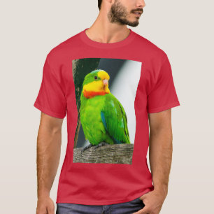 Superbe Parrot 1 T-shirt