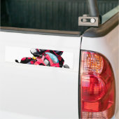 Superbike Bumpersticker (Op Truck)