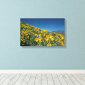 Superbloom van hoge woestijnbalsem canvas afdruk (Insitu (Houten vloer))