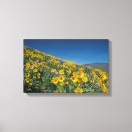 Superbloom van hoge woestijnbalsem canvas afdruk