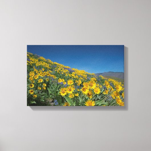 Superbloom van hoge woestijnbalsem canvas afdruk (Voorkant)