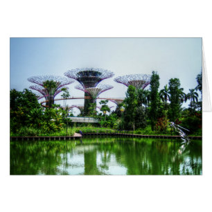 Superbomen en het libellen-meer