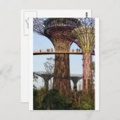 Superboomtuinen door Bay Singapore Briefkaart (Voorkant / Achterkant)