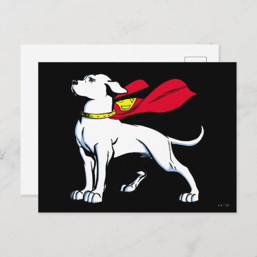 Superdog Krypto Briefkaart (Voorkant / Achterkant)
