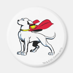 Superdog Krypto Magneet