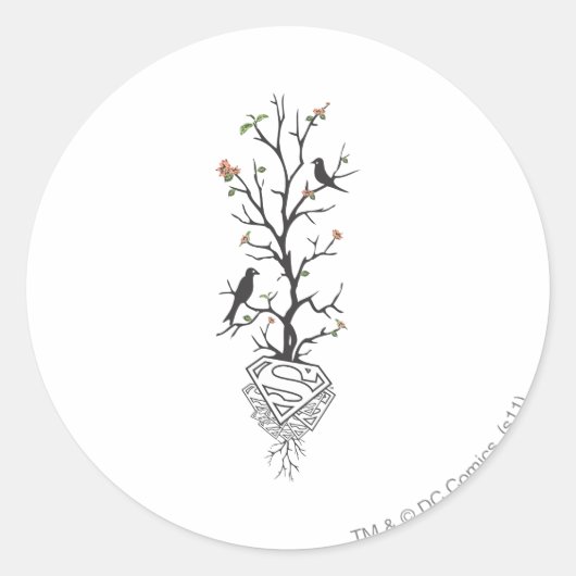 Supergirl Birds in the Tree Ronde Sticker (Voorkant)