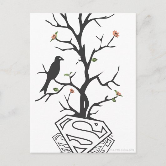 Supergirl vogels in de boom briefkaart (Voorkant)