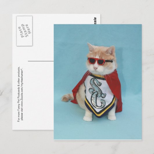 Superheld Bubba Briefkaart (Voorkant / Achterkant)