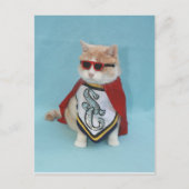 Superheld Bubba Briefkaart (Voorkant)