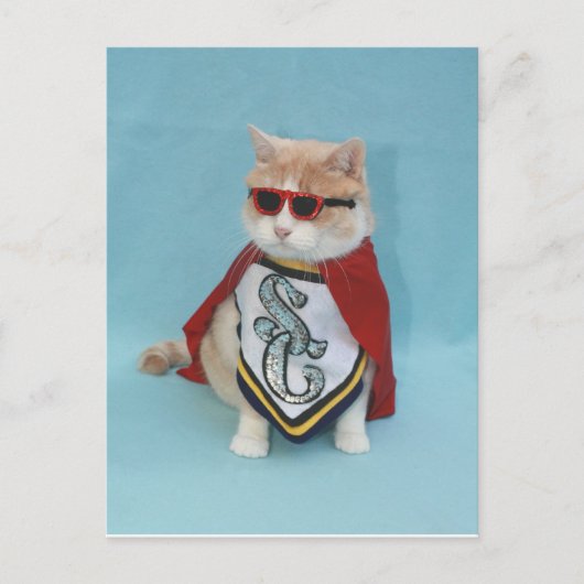 Superheld Bubba Briefkaart (Voorkant)