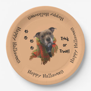 Superheld Halloween Pitbull Paper-Borden Papieren Bordje