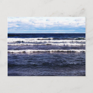 Superieur-witte Petten Briefkaart