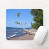 Superieure eenzame boom muismat (Met muis)