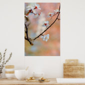 Superieure Japanse Abrikozenbloemen Poster (Keuken)