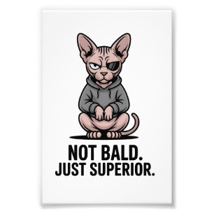 Superieure Sphynx Kat Houding Illustratie Foto Afdruk