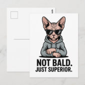 Superieure Sphynx Kat Sarcastische Attitude Kunst Briefkaart (Voorkant / Achterkant)