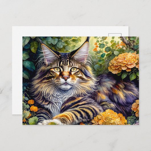 superkat briefkaart (Voorkant / Achterkant)