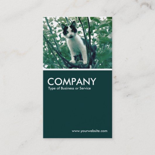 Superluiheid van de helderheid - Donkergroen Visitekaartje (Voorkant)