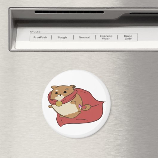 supermalwaremagneet magneet (Insitu (Vaatwasser))