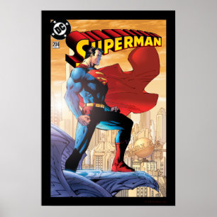 Superman #204 Juni 2004 Poster