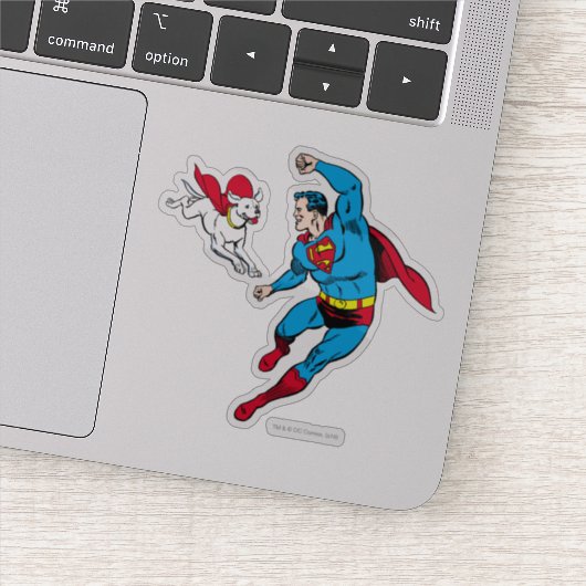 Superman en Krypto Flying Sticker (Detail)