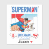 Superman en Krypto nemen vlucht Sticker (Vel)