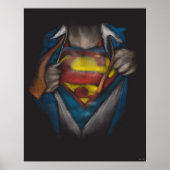Superman | Kaas Schets in kleur onthullen Poster (Voorkant)