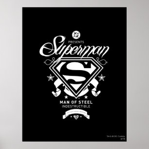 Superman Wapenmunt Poster