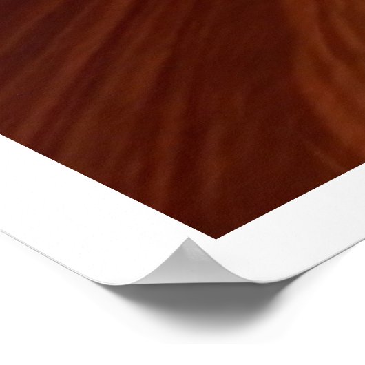 Supermassieve zwarte hol poster (Hoek)