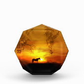 Supermooi kunstdecor voor paarden fotoblokken (Voorkant)