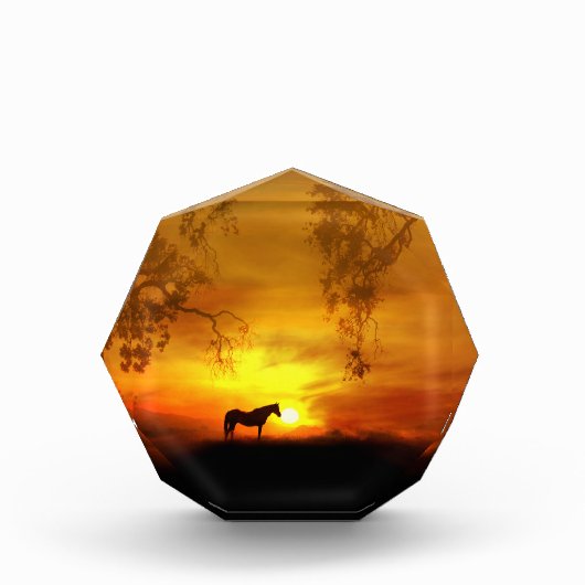 Supermooi kunstdecor voor paarden fotoblokken (Voorkant)