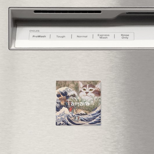 Supernatuurkat bij de Grote Golf Magneet (Insitu (Vaatwasser))