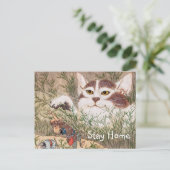 Supernatuurlijk kat briefkaart (Staand voorkant)