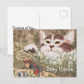 Supernatuurlijk kat briefkaart (Voorkant / Achterkant)