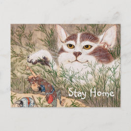 Supernatuurlijk kat briefkaart