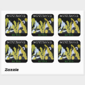 SUPERNOVA SATIVA VIERKANTE STICKER (Vel)