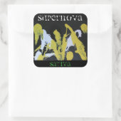 SUPERNOVA SATIVA VIERKANTE STICKER (Tas)