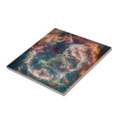 Supernovaresten Cassiopeia A. Tegeltje (Zijkant)