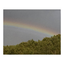Supernumerieke regenboog boven het evergroene bos