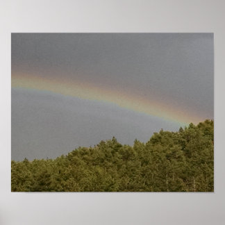 Supernumerieke regenboog boven het evergroene bos poster