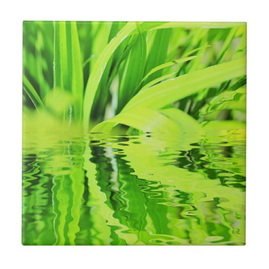 Superpositieve reflectie voor heldergroen gras tegeltje (Voorkant)