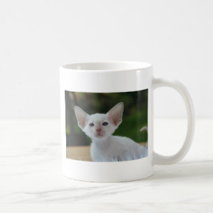 Superschattig Siamese Kitten Koffiemok