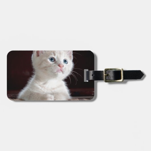 Superschattig Witte Kitten Bagagelabel (Voorkant horizontaal)